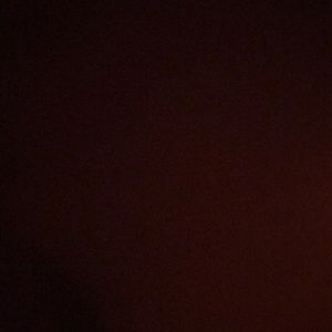 Meet your Posher, Alexus